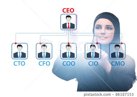Businesswoman in the organisation chart concept 86187153