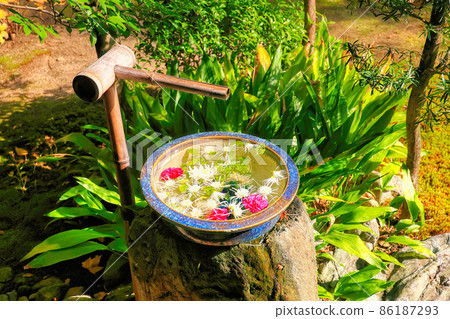 京都本方寺花園的花手水 京都本方寺花園的花手水 86187293