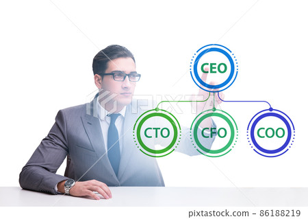Businessman in the organisation chart concept Businessman in the organisation chart concept 86188219