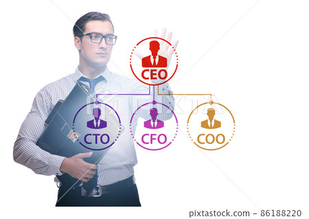 Businessman in the organisation chart concept 86188220