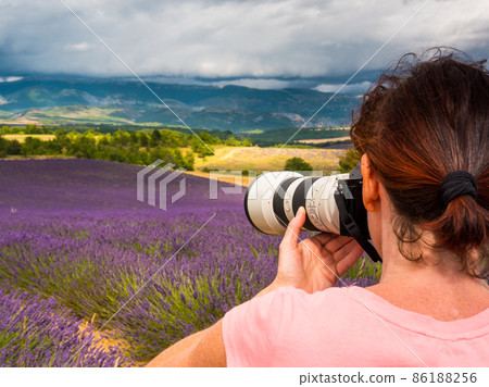 Woman take photo on lavender field, Provence France 86188256