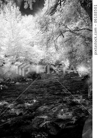 Infrared Oak Creek Sedona Arizona 86188501