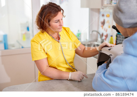 Woman veterinarian checking pet patient at her office Woman veterinarian checking pet patient at her office 86189474