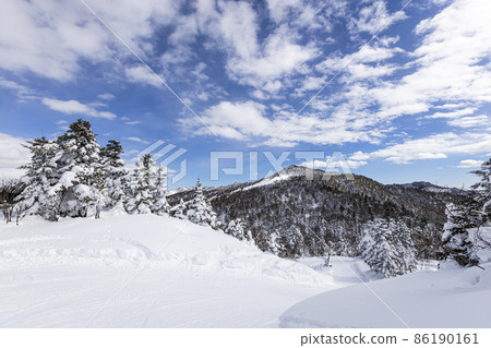 Rime on the Shiga Kogen in winter Rime on the Shiga Kogen in winter 86190161