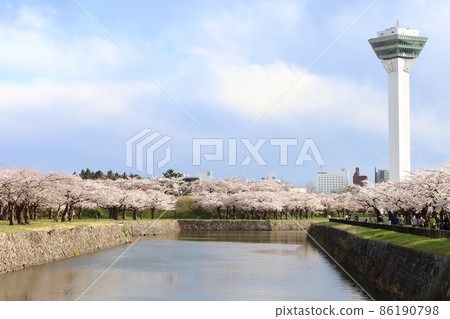 北海道函館五棱郭櫻花盛開 86190798