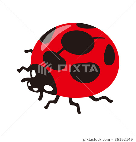 瓢蟲 86192149
