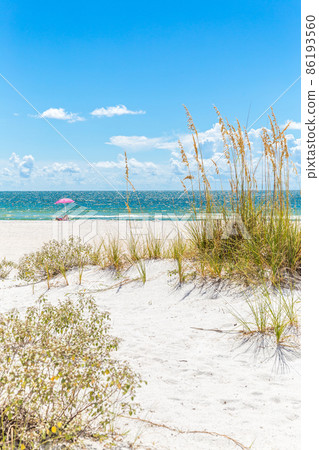 Pink umbrella 86193560