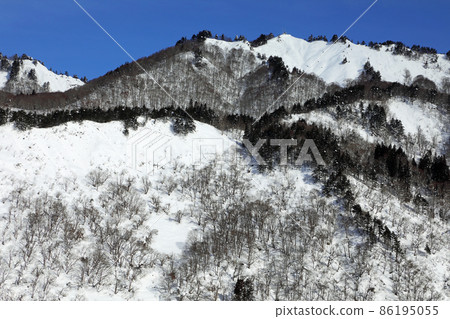 大雪中的里山、落葉林和雪崩斜坡——從龜岡橋到福島縣只見町 86195055