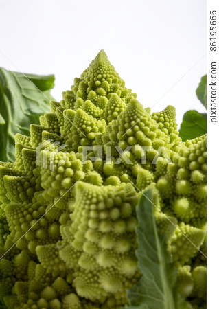 Fragment of cabbage Romanesco broccoli close-up 86195666