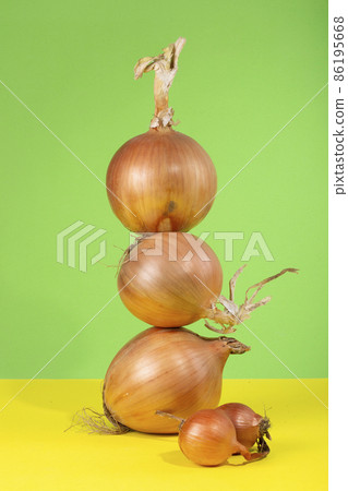 Three large and two small ripe onions on a colored background Three large and two small ripe onions on a colored background 86195668