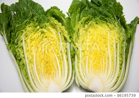 Cabbage Cabbage 86195739