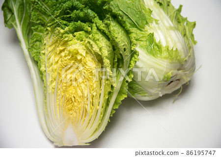 Cabbage Cabbage 86195747