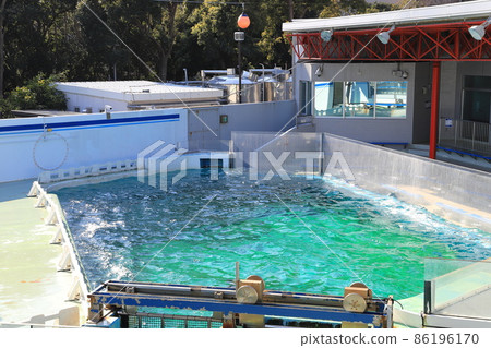 Shinagawa Aquarium Dolphin Sea Lion Stadium 86196170