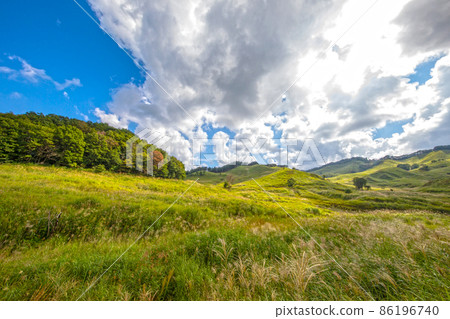 夏季高原 遠峰高原 蒲葦 薄木 遠峰高原 蒲葦之旅 86196740