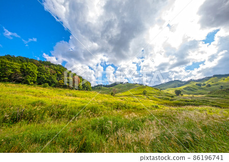 夏季高原 遠峰高原 蒲葦 薄木 遠峰高原 蒲葦之旅 86196741