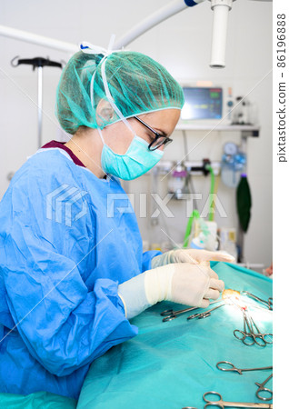 Surgery operation. Close up of surgeon hands stitching the wound after operating. Surgical treatment 86196888