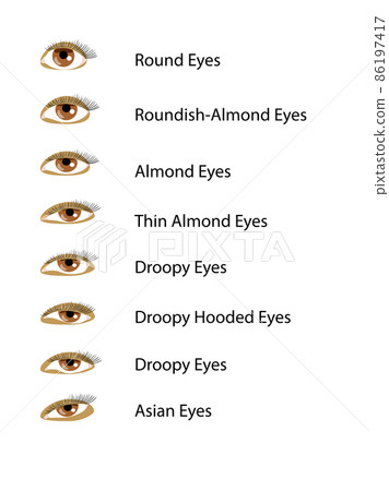 A set of diffent shapes of eyes, vector illustration 86197417