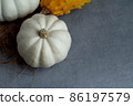 White and yellow pumpkin 86197579