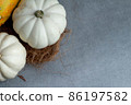 White and yellow pumpkin 86197582