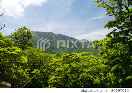 從大峰山脈的行者岳岳方向眺望彌山（鮮綠色）[奈良縣天川村] 86197613