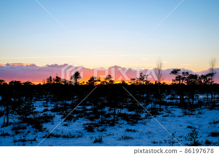 Beautiful nature landscape. Sunset on a snowy swamp in winter. Selective focus Beautiful nature landscape. Sunset on a snowy swamp in winter. Selective focus 86197678