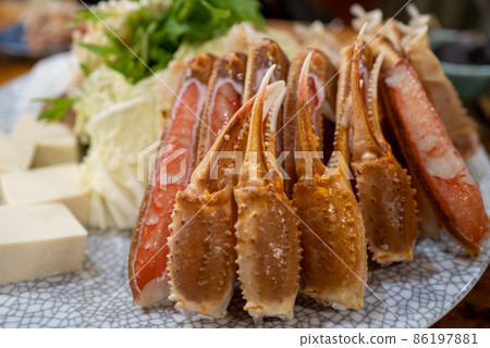 Snow crab crab plow 86197881