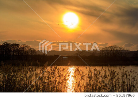 [北海道]宮島沼和馬干夜景 86197966