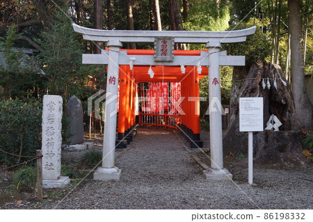 Tokiwa Shrine Tokiwa Shrine 86198332