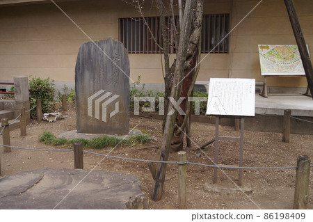 Tokiwa Shrine 86198409