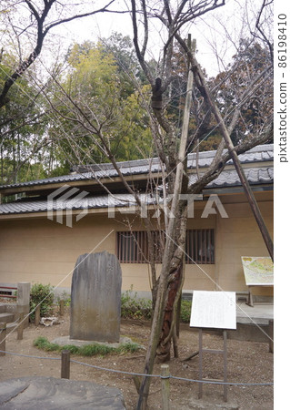 Tokiwa Shrine 86198410