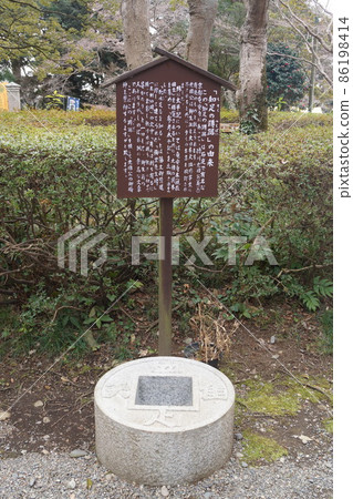 Tokiwa Shrine Tokiwa Shrine 86198414