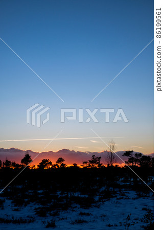 Beautiful nature landscape. Sunset on a snowy swamp in winter. Selective focus 86199561