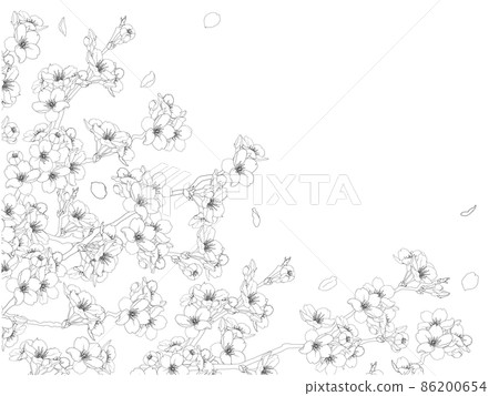 櫻花線畫框④（黑色，左右） 86200654