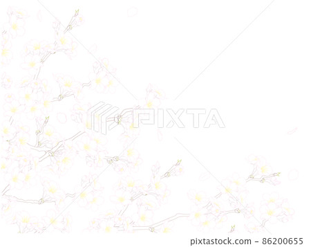 Sakura Line Frame Sakura line drawing frame ④ (color, left and... - Stock Illustration ...