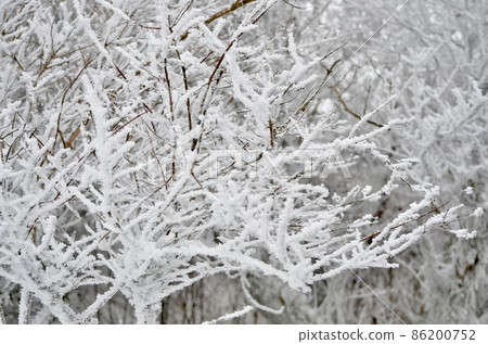 Superb view of midwinter Superb view of midwinter 86200752