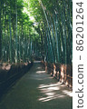 Small diameter of bamboo grove 86201264