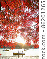 autumn 86201265
