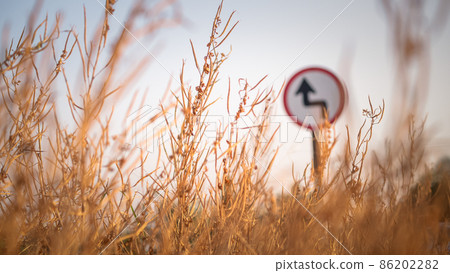 Traffic street transportation sign over dried grass nature meadow field Traffic street transportation sign over dried grass nature meadow field 86202282