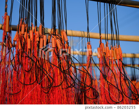 常設網蝦網 86203255