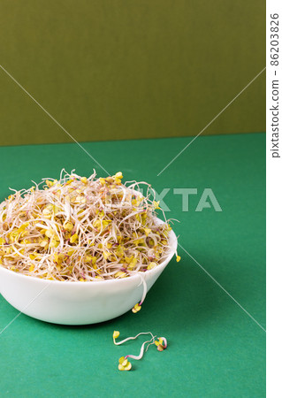 Bowl with radish sprouts on modern green background. Sprouted seeds. Healthy eating, detoxification. 86203826