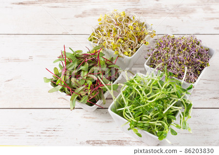 Mix of various sprouts on wooden background. Sprouted seeds. Healthy eating, detoxification. Mix of various sprouts on wooden background. Sprouted seeds. Healthy eating, detoxification. 86203830