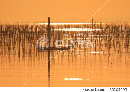 Omuta City Ariake Sea Nori field dusk, Omuta City Ariake Sea Nori field dusk, 86203995