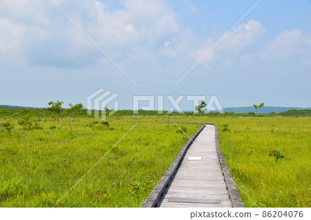 Kushiro Marsh Onnenai Boardwalk 86204076