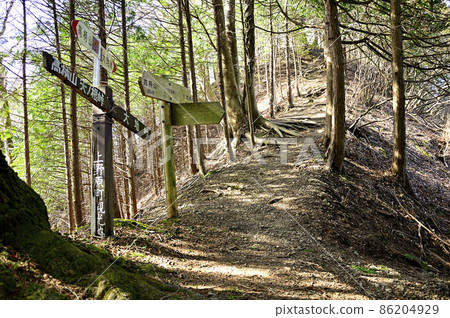 Doshisankai的高塚山,秋山嶺路線,Sensoku Pass Doshisankai的高塚山,秋山嶺路線,Sensoku Pass 86204929
