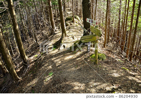 Doshisankai的高塚山,秋山嶺路線,Sensoku Pass Doshisankai的高塚山,秋山嶺路線,Sensoku Pass 86204930