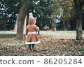 reindeer  86205284