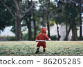 Santa 86205285