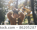reindeer  86205287