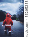 Santa 86205288