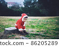 Santa 86205289